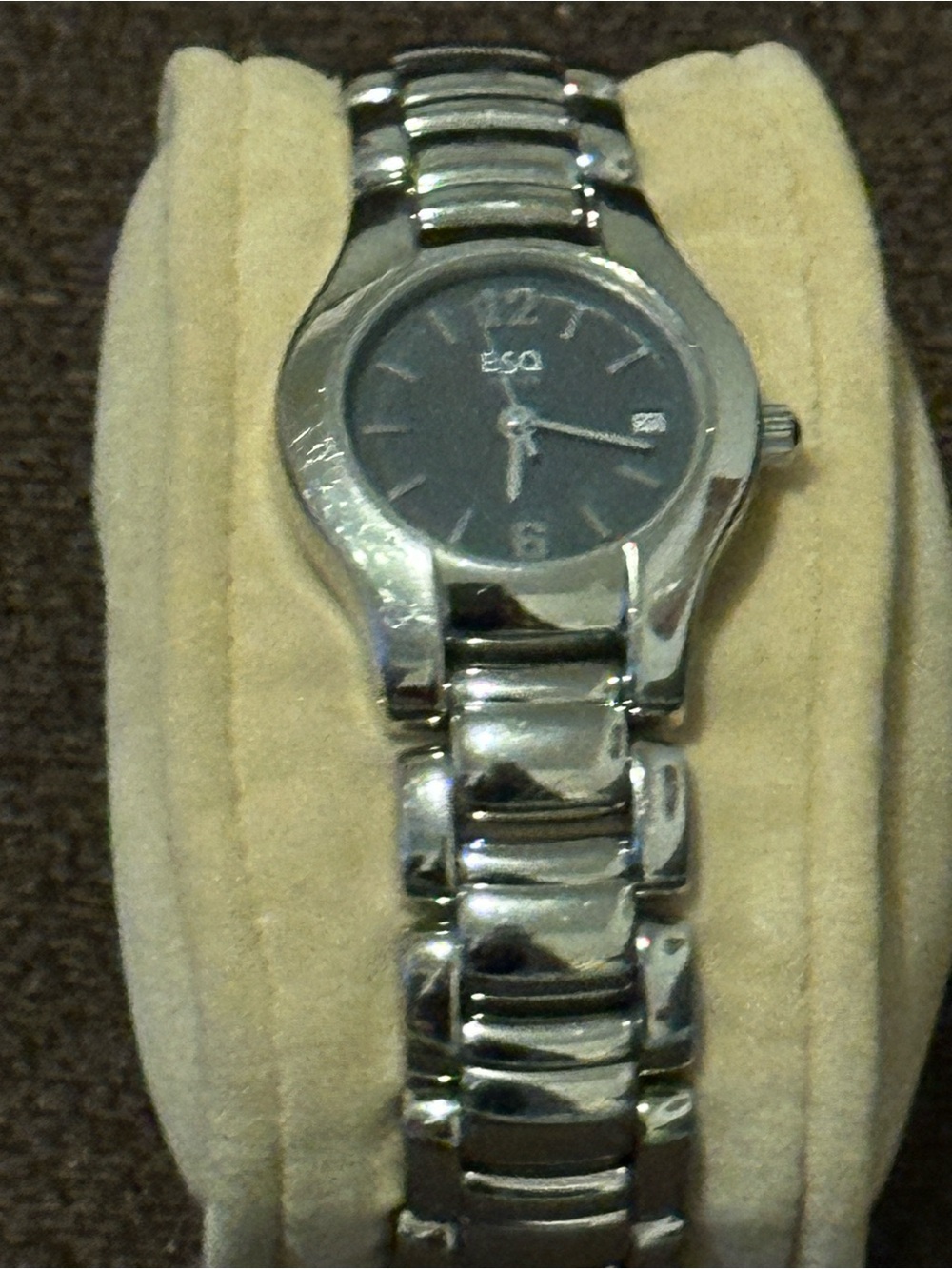 ESQ Silver Stainless Steel Women's Watch - Silver colors. Grey bezel.
